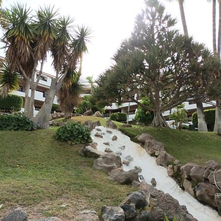 Apartmán Estudio En Tenerife Con Piscina / Study Flat With Pool San Miguel de Abona Exteriér fotografie