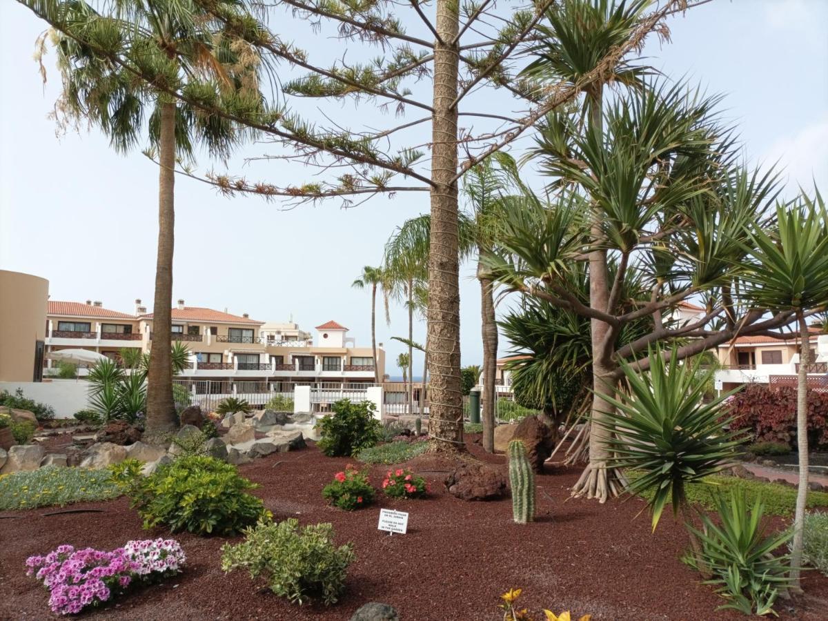 Apartmán Estudio En Tenerife Con Piscina / Study Flat With Pool San Miguel de Abona Exteriér fotografie